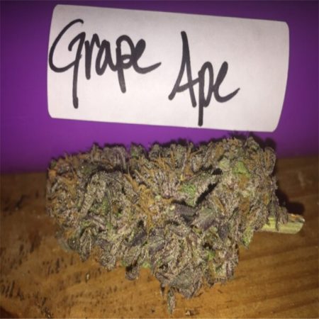 Grape Monkey Kush
