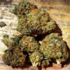Hindu Kush-stam