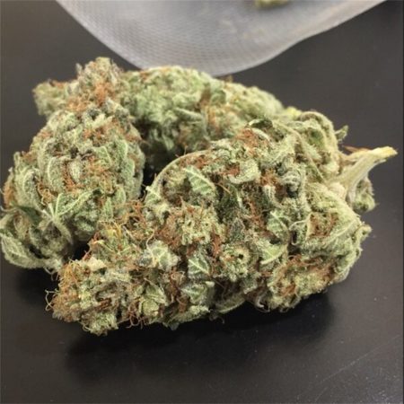 OG Hunter Marijuana-stam