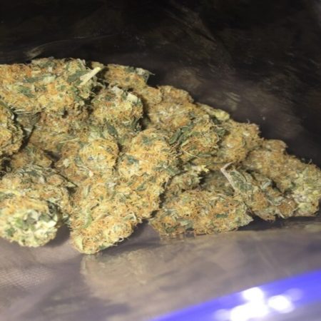 Colombiansk guldstam