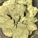vit fönsterkush