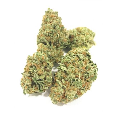 Cannabisstammar till salu