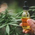 Köp Cannabisolja online